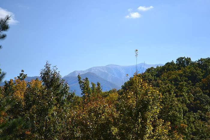 ガトリンバーグ Mountain Highヴィラ エクステリア 写真