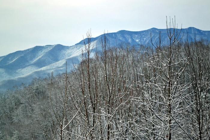 ガトリンバーグ Mountain Highヴィラ エクステリア 写真