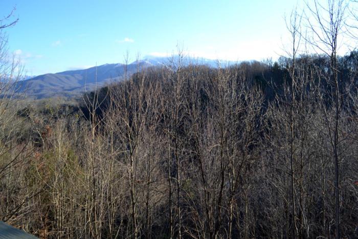 ガトリンバーグ Mountain Highヴィラ エクステリア 写真